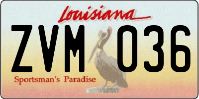 LA license plate ZVM036