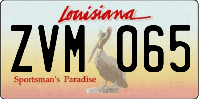 LA license plate ZVM065