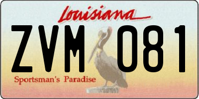 LA license plate ZVM081