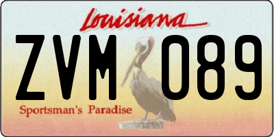 LA license plate ZVM089