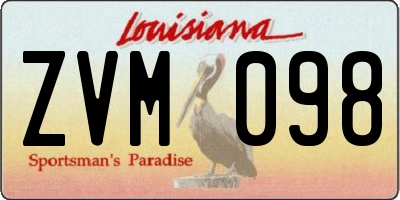 LA license plate ZVM098