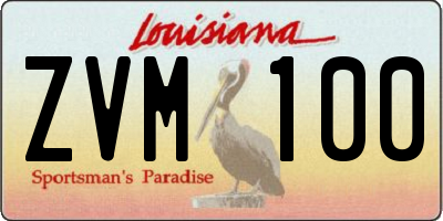 LA license plate ZVM100