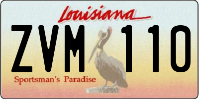 LA license plate ZVM110