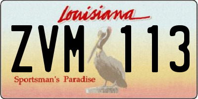 LA license plate ZVM113