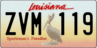 LA license plate ZVM119