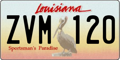 LA license plate ZVM120