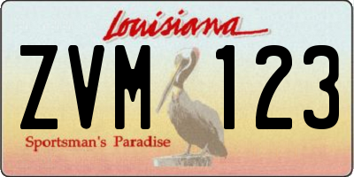 LA license plate ZVM123