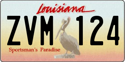 LA license plate ZVM124