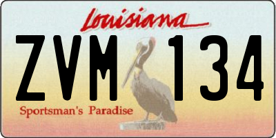 LA license plate ZVM134