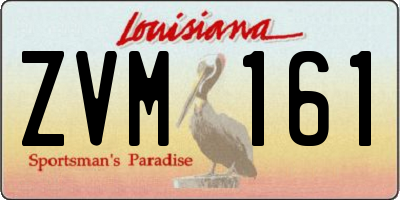 LA license plate ZVM161