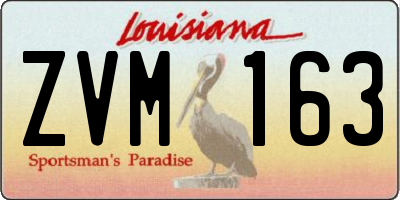 LA license plate ZVM163