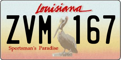 LA license plate ZVM167