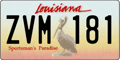 LA license plate ZVM181