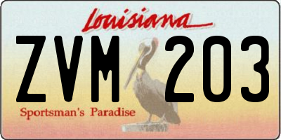 LA license plate ZVM203