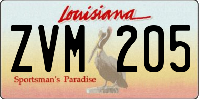 LA license plate ZVM205