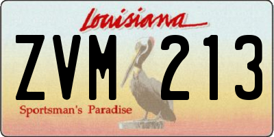 LA license plate ZVM213