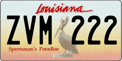 LA license plate ZVM222