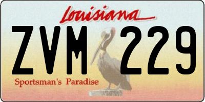 LA license plate ZVM229