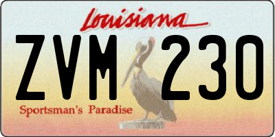 LA license plate ZVM230