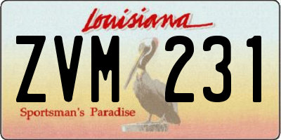 LA license plate ZVM231