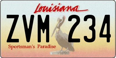 LA license plate ZVM234
