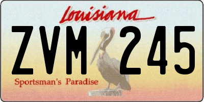 LA license plate ZVM245