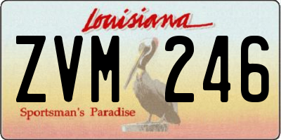 LA license plate ZVM246