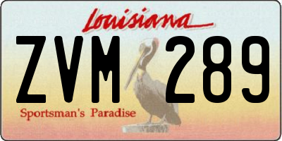 LA license plate ZVM289