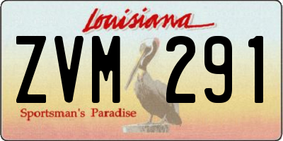 LA license plate ZVM291