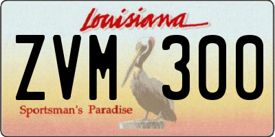 LA license plate ZVM300