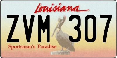 LA license plate ZVM307