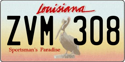 LA license plate ZVM308