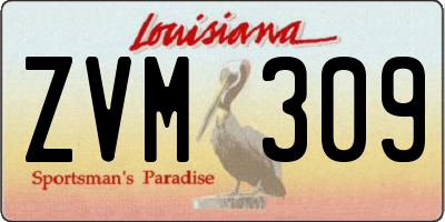 LA license plate ZVM309
