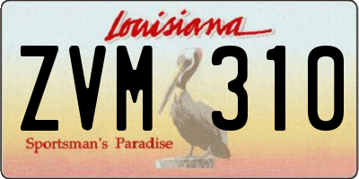 LA license plate ZVM310