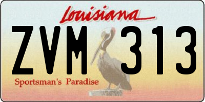 LA license plate ZVM313