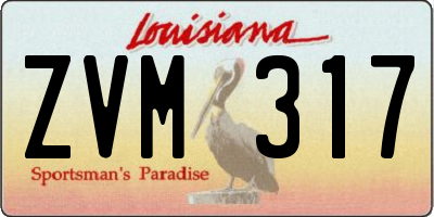 LA license plate ZVM317