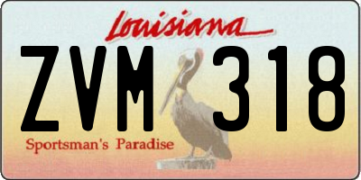 LA license plate ZVM318