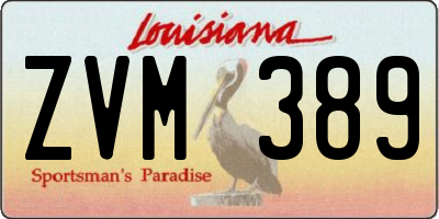 LA license plate ZVM389