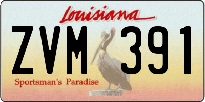 LA license plate ZVM391