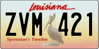 LA license plate ZVM421