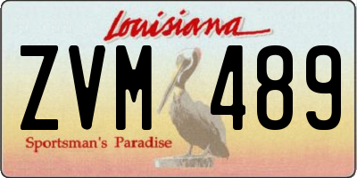 LA license plate ZVM489
