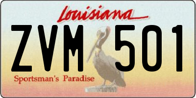 LA license plate ZVM501