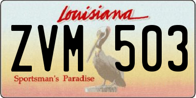 LA license plate ZVM503