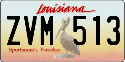 LA license plate ZVM513
