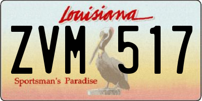 LA license plate ZVM517