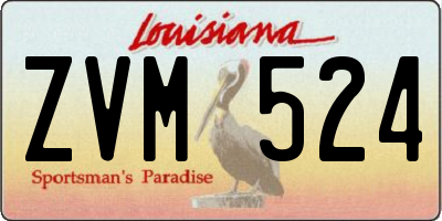 LA license plate ZVM524