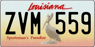 LA license plate ZVM559