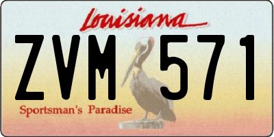 LA license plate ZVM571