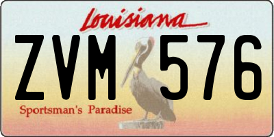 LA license plate ZVM576