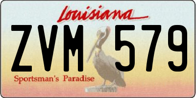 LA license plate ZVM579